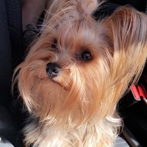 Meet your Posher, Delia